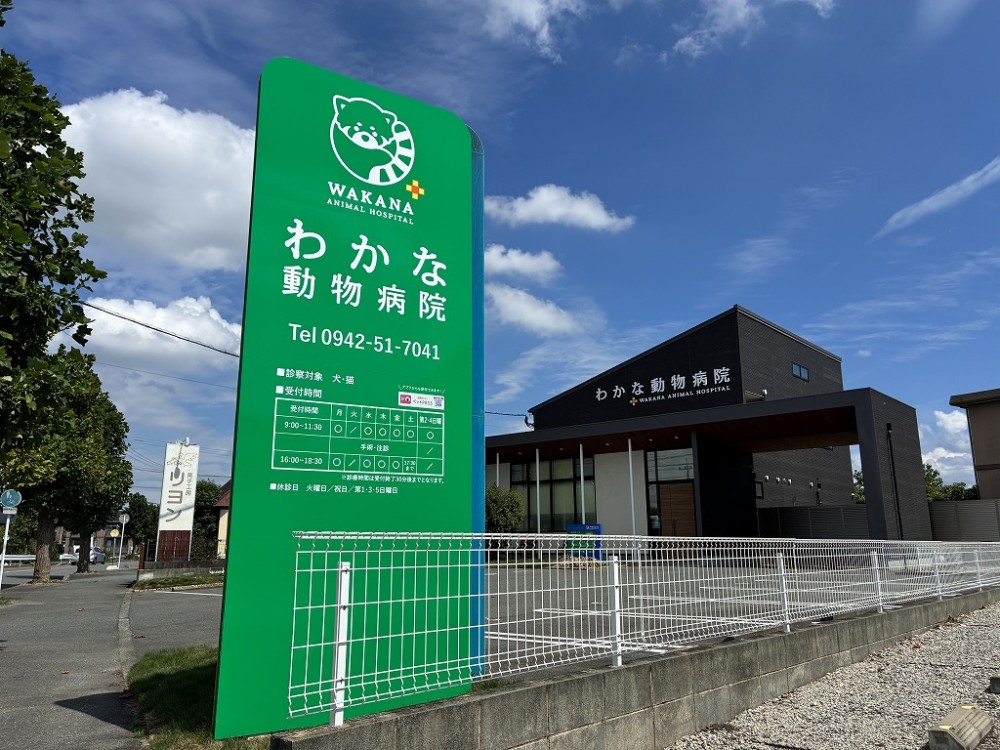 わかな動物病院様　サインリメイク