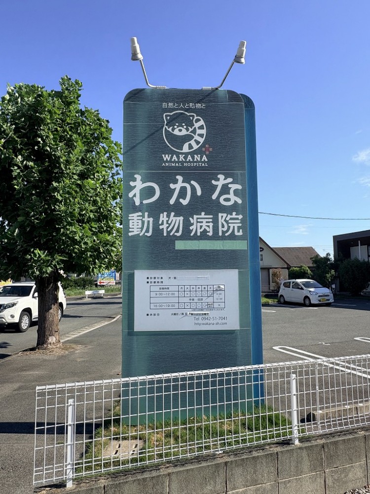 わかな動物病院様　サインリメイク